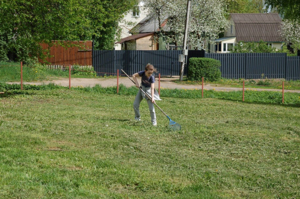 subbotnik   subbotnik