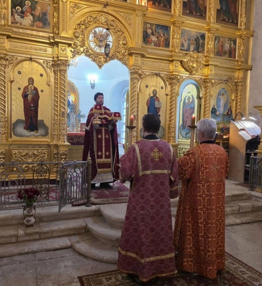 Память иконы Пресвятой Богородицы «Живоносный Источник»_6