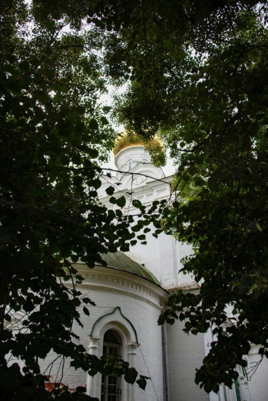 Молебен Ангелины Сербской_6